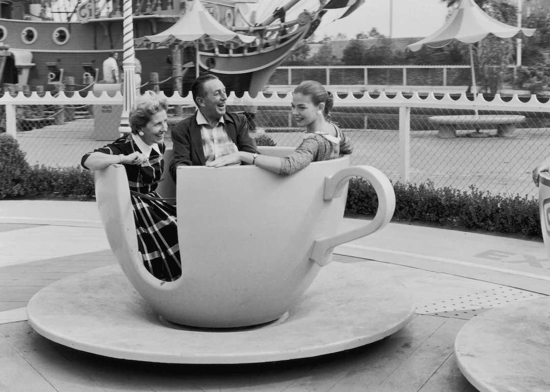 El peor domingo de Disneyland